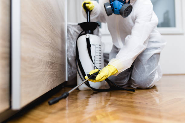 Best Affordable Pest Control Services  in Bay Minette, AL