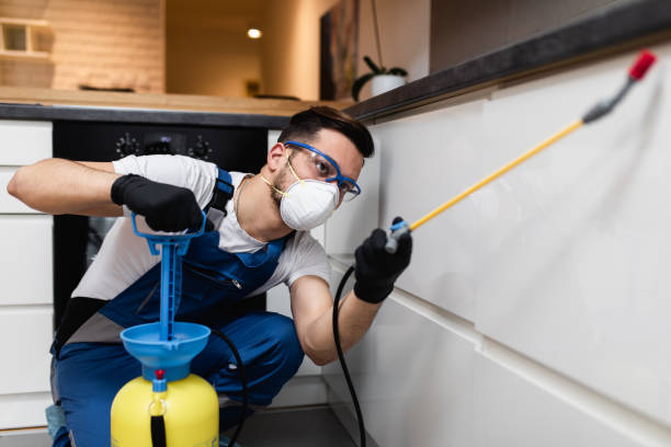 Best Local Pest Control Services  in Bay Minette, AL