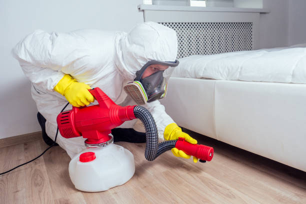 Best Wasp Removal Services  in Bay Minette, AL