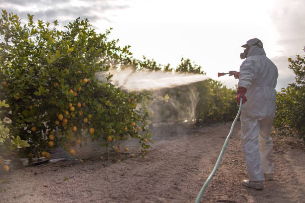 Best Mosquito Control Services  in Bay Minette, AL