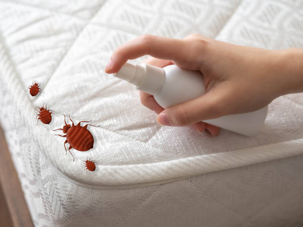 Trusted Bay Minette, AL Pest Control Experts