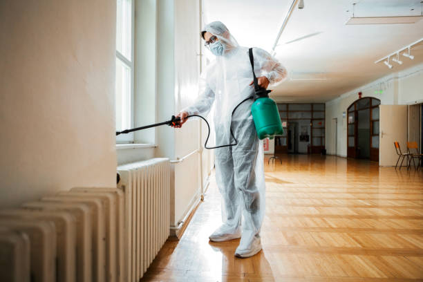 Best Pest Removal Services  in Bay Minette, AL