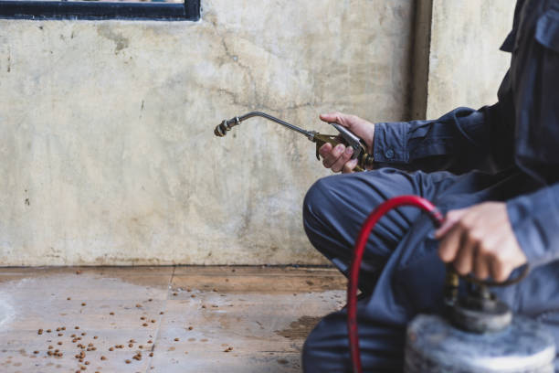 Best Pest Prevention Services  in Bay Minette, AL